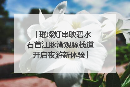 璀璨灯串映碧水 石首江豚湾观豚栈道开启夜游新体验