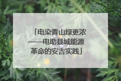电染青山绿更浓——电助县域能源革命的安吉实践