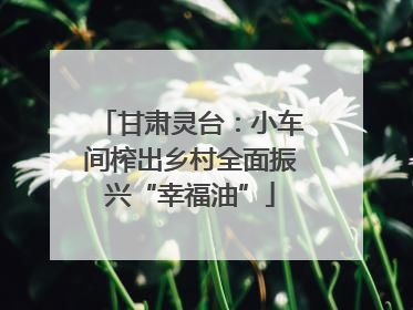 甘肃灵台：小车间榨出乡村全面振兴“幸福油”
