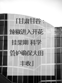 甘肃甘谷：辣椒进入开花挂果期 科学管护确保大田丰收