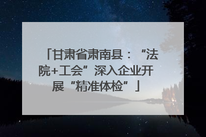 甘肃省肃南县：“法院+工会”深入企业开展“精准体检”