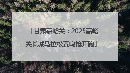 甘肃嘉峪关：2025嘉峪关长城马拉松赛鸣枪开跑