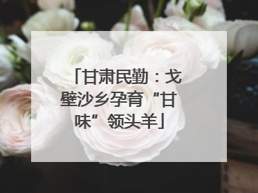 甘肃民勤：戈壁沙乡孕育“甘味”领头羊