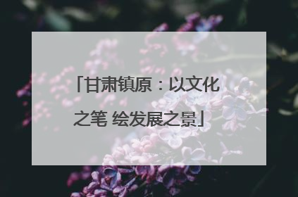 甘肃镇原：以文化之笔 绘发展之景
