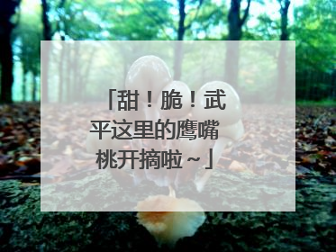 甜！脆！武平这里的鹰嘴桃开摘啦～