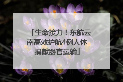 生命接力！东航云南高效护航4例人体捐献器官运输
