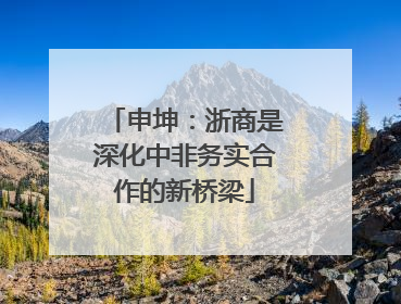 申坤：浙商是深化中非务实合作的新桥梁