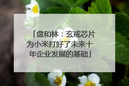 盘和林：玄戒芯片为小米打好了未来十年企业发展的基础
