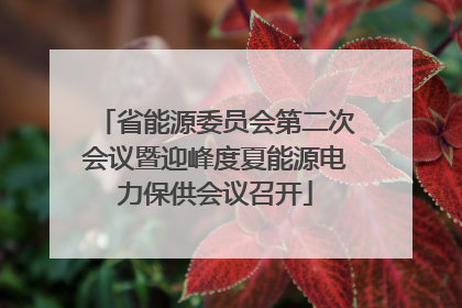 省能源委员会第二次会议暨迎峰度夏能源电力保供会议召开