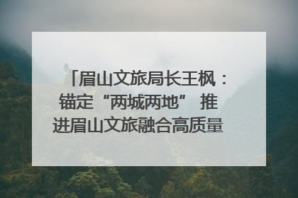 眉山文旅局长王枫：锚定“两城两地” 推进眉山文旅融合高质量发展｜文旅局长说
