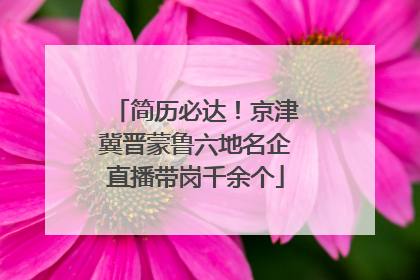 简历必达！京津冀晋蒙鲁六地名企直播带岗千余个
