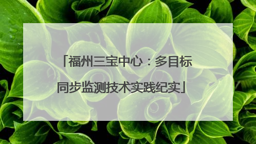 福州三宝中心：多目标同步监测技术实践纪实
