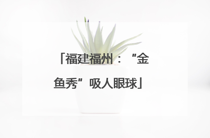 福建福州：“金鱼秀”吸人眼球