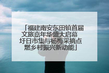 福建南安东田镇首届文旅嘉年华盛大启幕 圩日市集与杨梅采摘点燃乡村振兴新动能