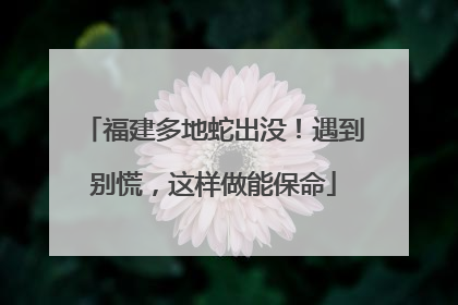 福建多地蛇出没！遇到别慌，这样做能保命