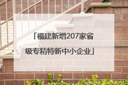 福建新增207家省级专精特新中小企业