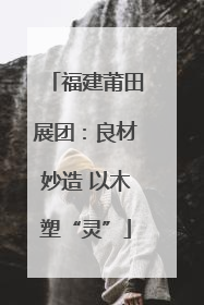 福建莆田展团：良材妙造 以木塑“灵”