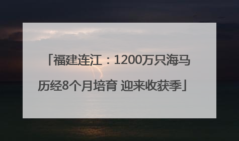 福建连江：1200万只海马历经8个月培育 迎来收获季