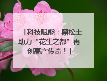 科技赋能：黑松土助力“花生之都”再创高产传奇！