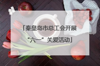 秦皇岛市总工会开展“六一”关爱活动