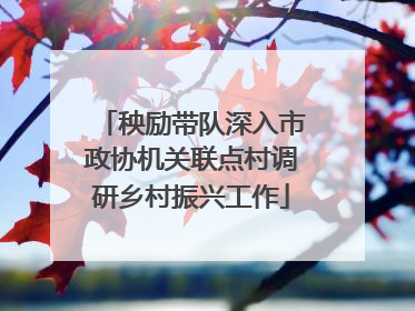 秧励带队深入市政协机关联点村调研乡村振兴工作