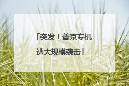 突发！普京专机遭大规模袭击