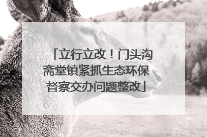 立行立改！门头沟斋堂镇紧抓生态环保督察交办问题整改