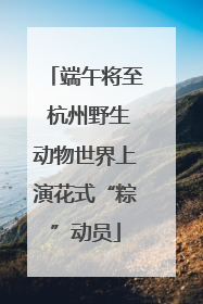 端午将至 杭州野生动物世界上演花式“粽”动员