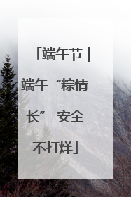 端午节｜端午“粽情长” 安全不打烊