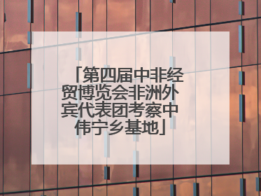 第四届中非经贸博览会非洲外宾代表团考察中伟宁乡基地