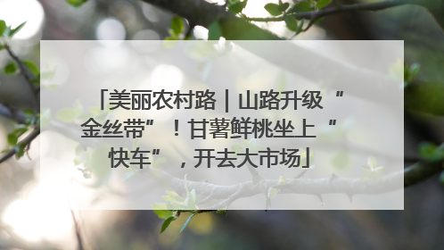 美丽农村路｜山路升级“金丝带”！甘薯鲜桃坐上“快车”，开去大市场