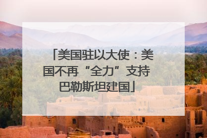 美国驻以大使：美国不再“全力”支持巴勒斯坦建国