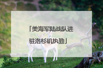 美海军陆战队进驻洛杉矶执勤