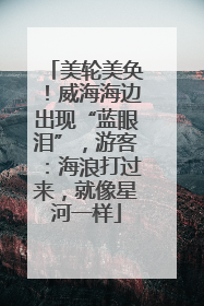 美轮美奂！威海海边出现“蓝眼泪”，游客：海浪打过来，就像星河一样