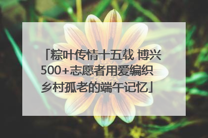 粽叶传情十五载 博兴500+志愿者用爱编织乡村孤老的端午记忆