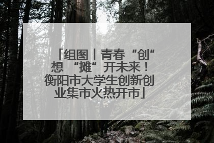 组图丨青春“创”想 “摊”开未来！衡阳市大学生创新创业集市火热开市