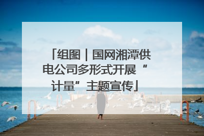 组图｜国网湘潭供电公司多形式开展“计量”主题宣传