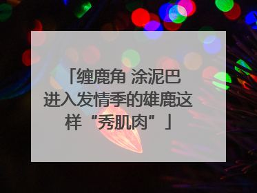 缠鹿角 涂泥巴 进入发情季的雄鹿这样“秀肌肉”