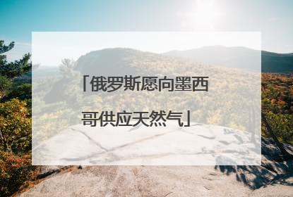 俄罗斯愿向墨西哥供应天然气