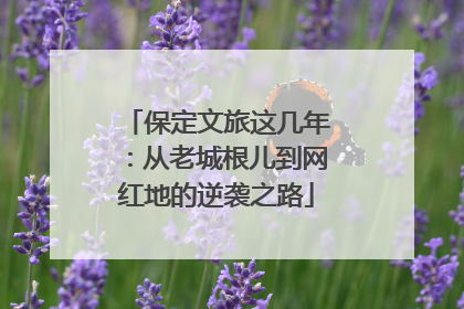保定文旅这几年：从老城根儿到网红地的逆袭之路