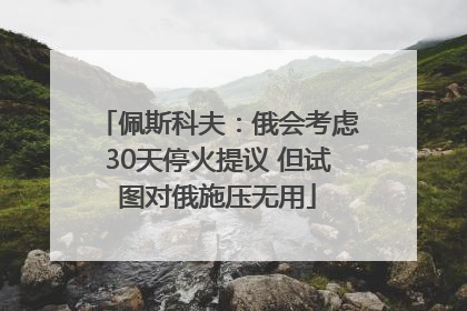 佩斯科夫：俄会考虑30天停火提议 但试图对俄施压无用