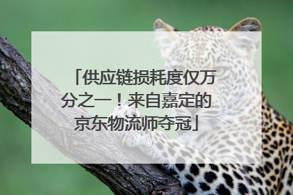 供应链损耗度仅万分之一！来自嘉定的京东物流师夺冠