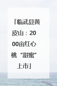 临武县黄皮山：2000亩红心桃“甜蜜”上市