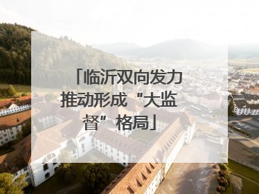 临沂双向发力推动形成“大监督”格局