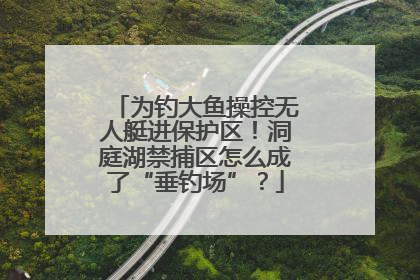 为钓大鱼操控无人艇进保护区！洞庭湖禁捕区怎么成了“垂钓场”？