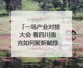一场产业对接大会 看四川南充如何聚新赋绿、链享未来｜打赢经济发展翻身仗