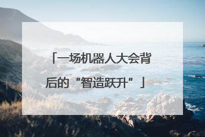 一场机器人大会背后的“智造跃升”