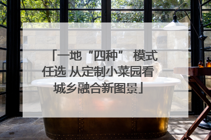 一地“四种” 模式任选 从定制小菜园看城乡融合新图景