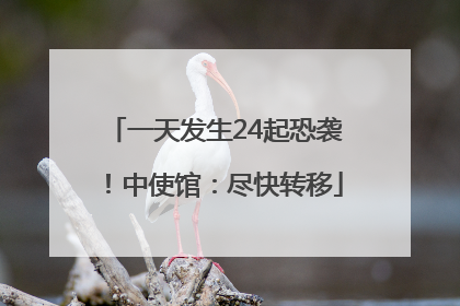一天发生24起恐袭！中使馆：尽快转移