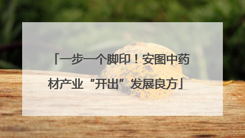 一步一个脚印！安图中药材产业“开出”发展良方